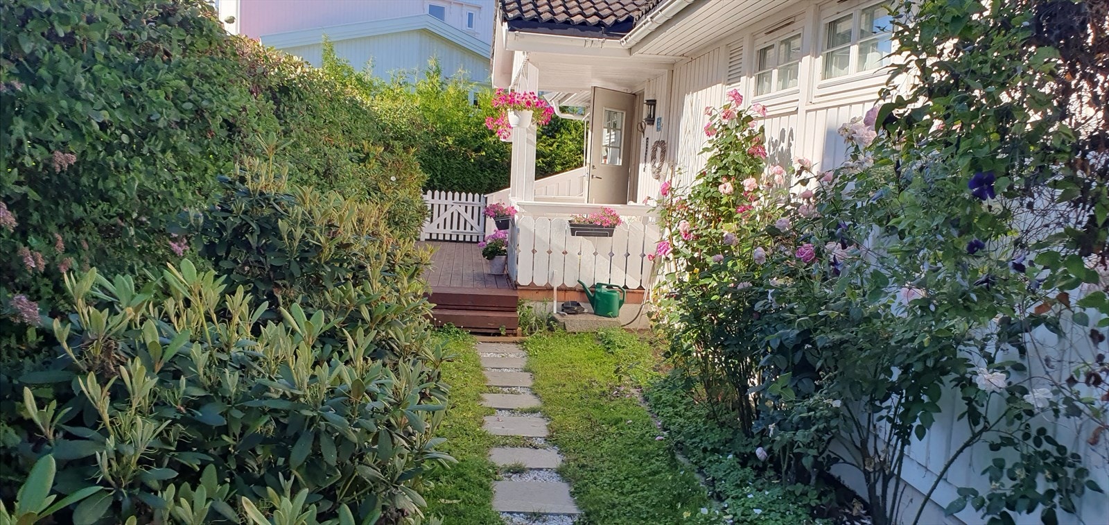 Tomten er flott beplantet (selgers bilde). Galleribilde