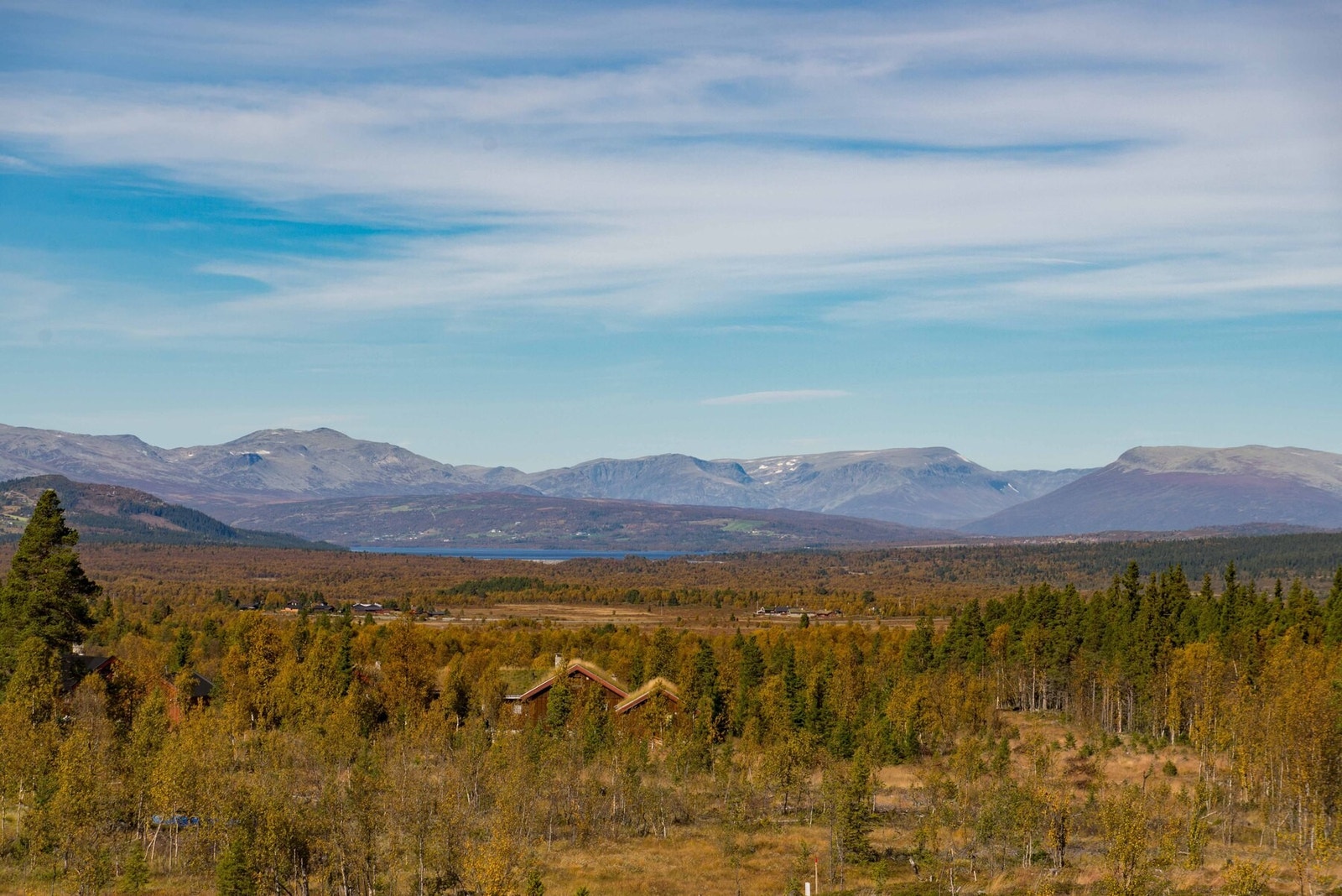 Fra feltet er det fantastisk utsikt mot Skogshorn, Jotunheimen, Tisleia og flott fjellnatur. Galleribilde