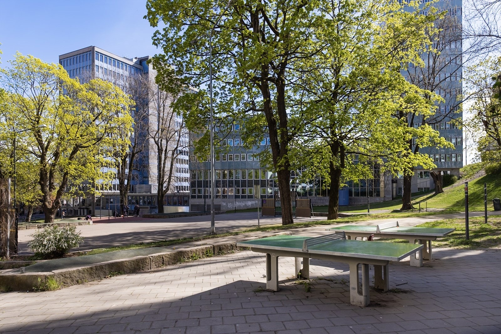 Parken er en møteplass for alle som besøker eller bor i området. Foto: www.steffenrikenberg.no Galleribilde
