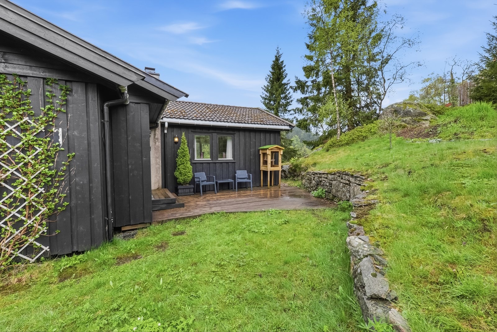 Fine grøntområder. Galleribilde