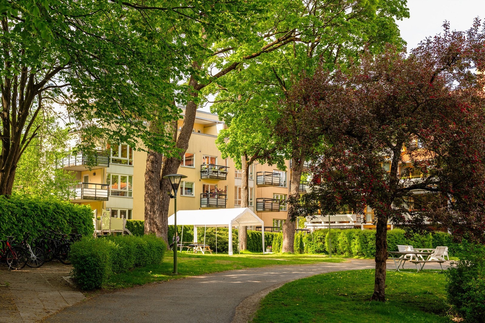 Idyllisk bakgård. Galleribilde