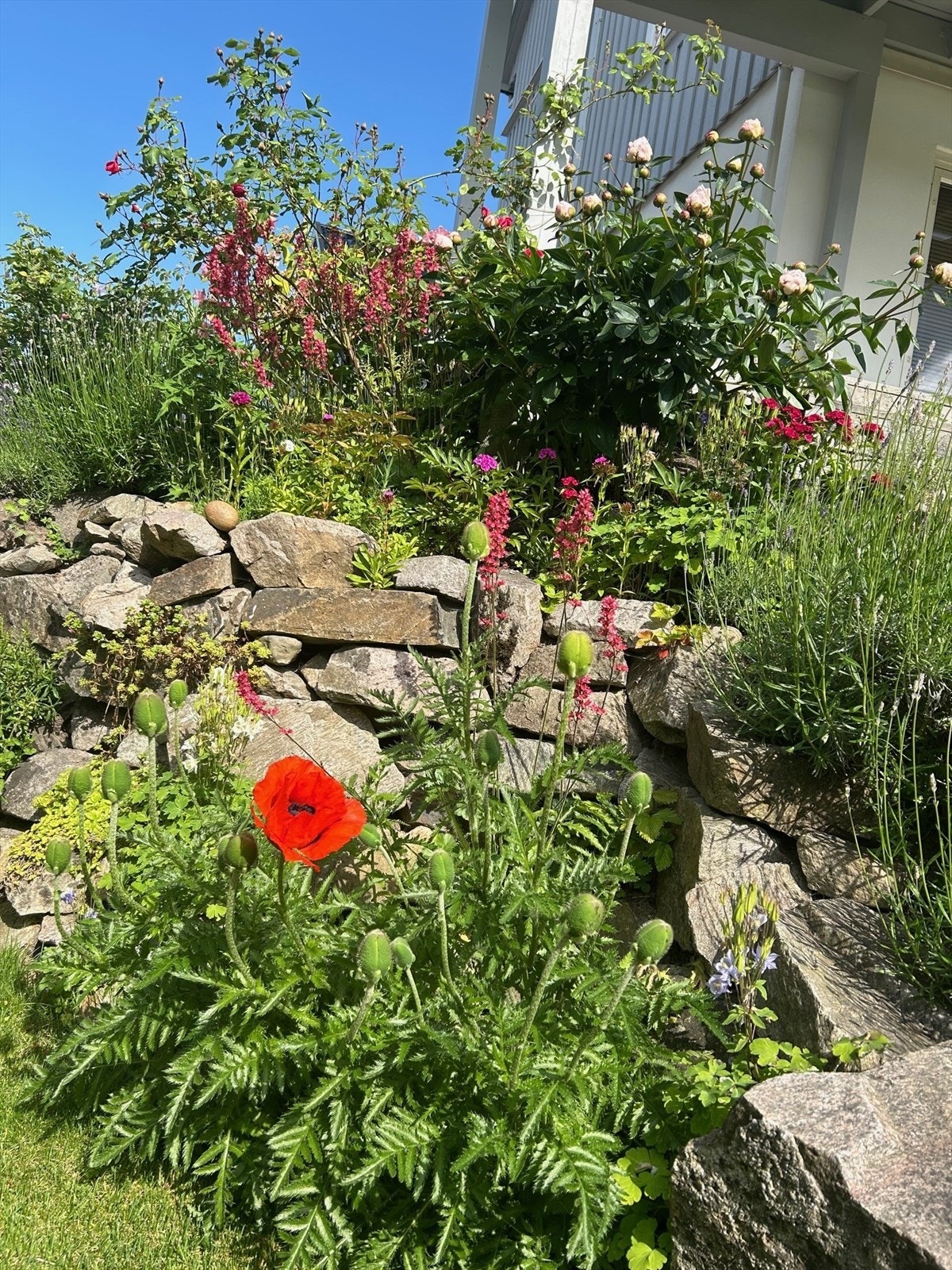 Hagebilde (selger) Galleribilde