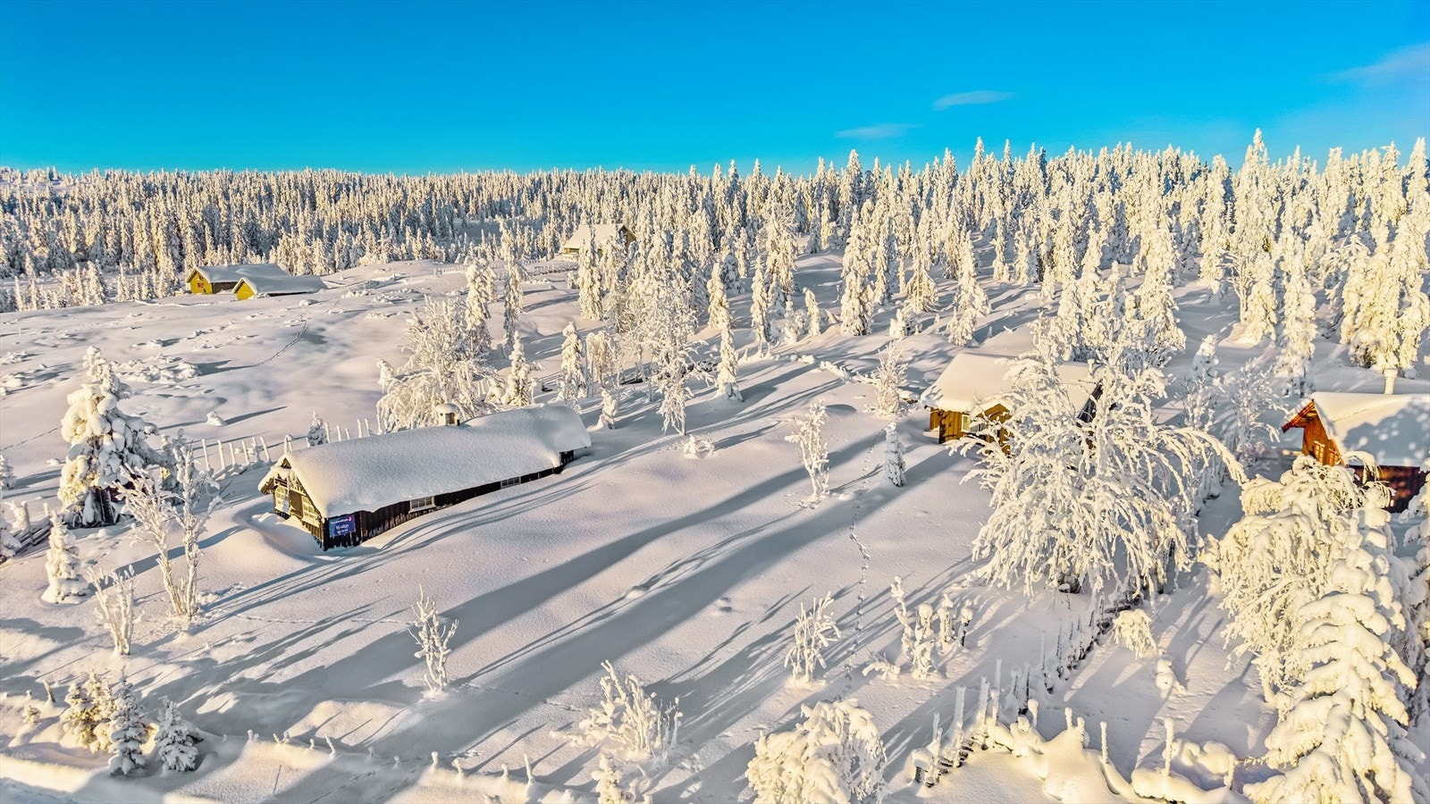 Drone Galleribilde