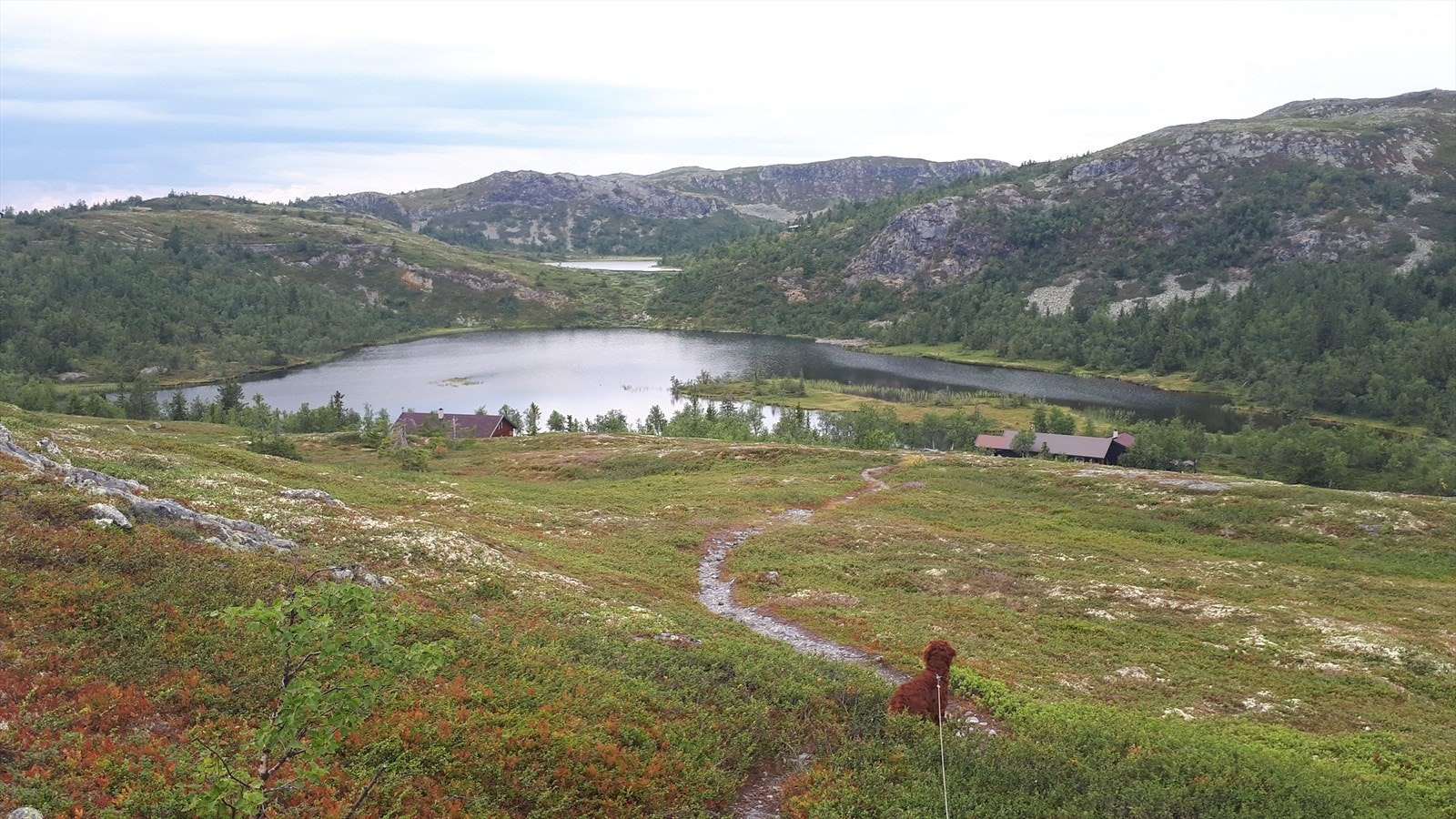 I sommerhalvåret er det gode fiskemuligheter i flere små fjellvann, samt mange stier og veier for både korte og lengre turer. En tur til for eksempel Fjellsvarden (ca. 960 moh.) eller Bjørgovarden (1 138 moh.) kan anbefales. Galleribilde