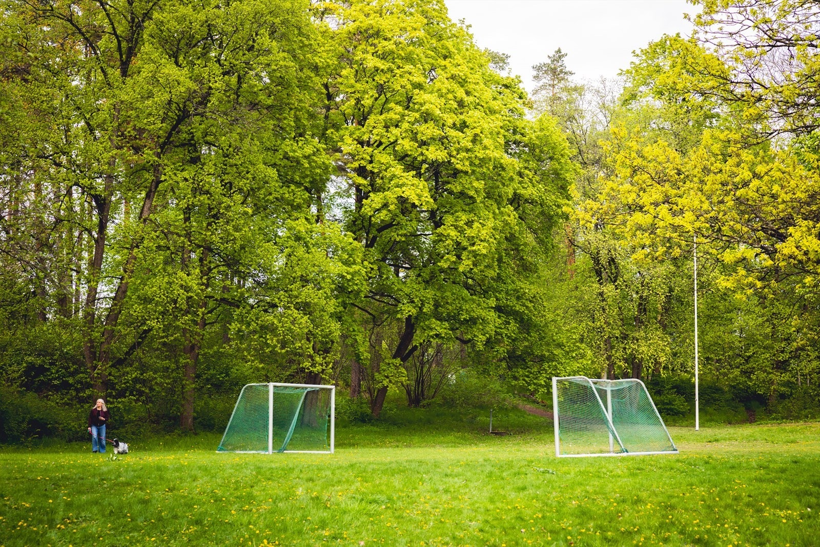 I tillegg finnes både fotballøkke og Høvikbanen for bandy og fotball i nærområdet. Galleribilde