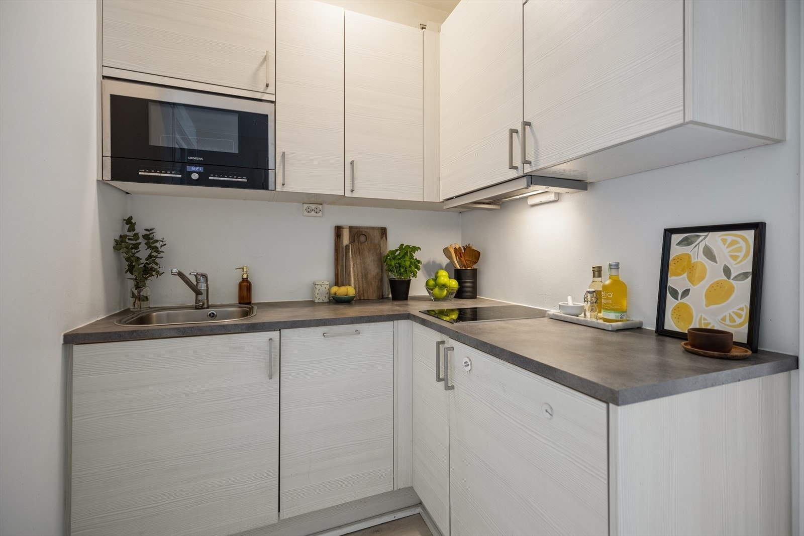 Utstyrt med koketopp, mikrobølgeovn, kjøleskap og oppvaskmaskin. Galleribilde