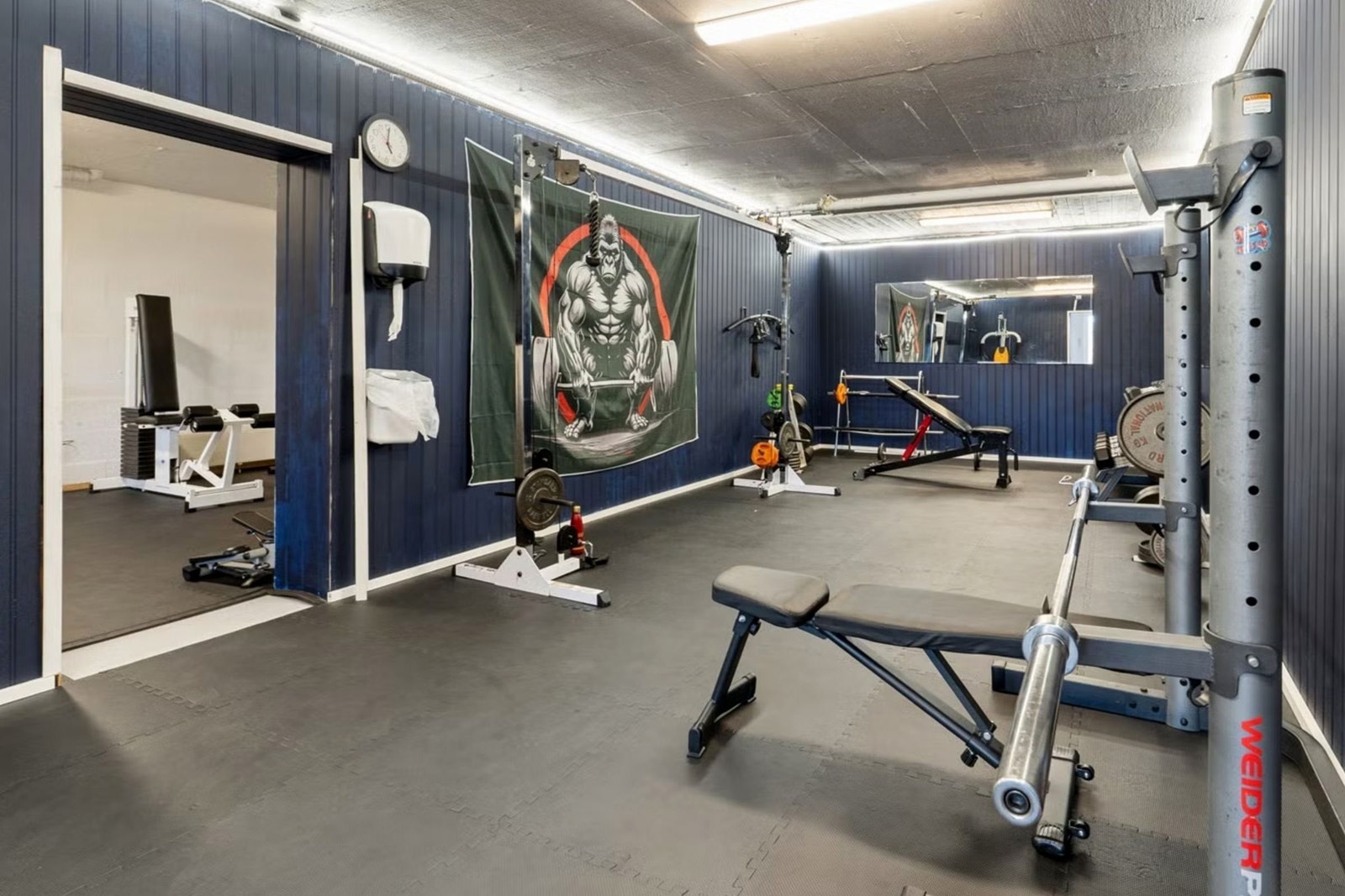 Det er eget trimrom i borettslaget. Galleribilde