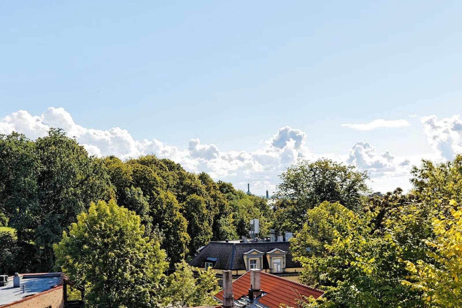 Fra balkongen har du fantastisk utsikt mot St. Hanshaugen parken. Galleribilde