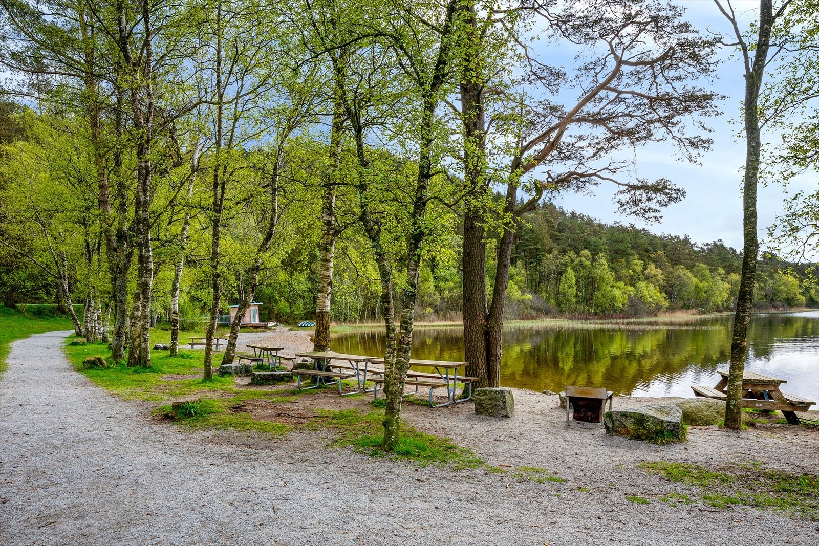 Bråsteinsvatnet med badstue og bading 2 min fra boligen. Flotte turområder og mye natur for deg som liker å gå eller trene, evt har hund. Galleribilde