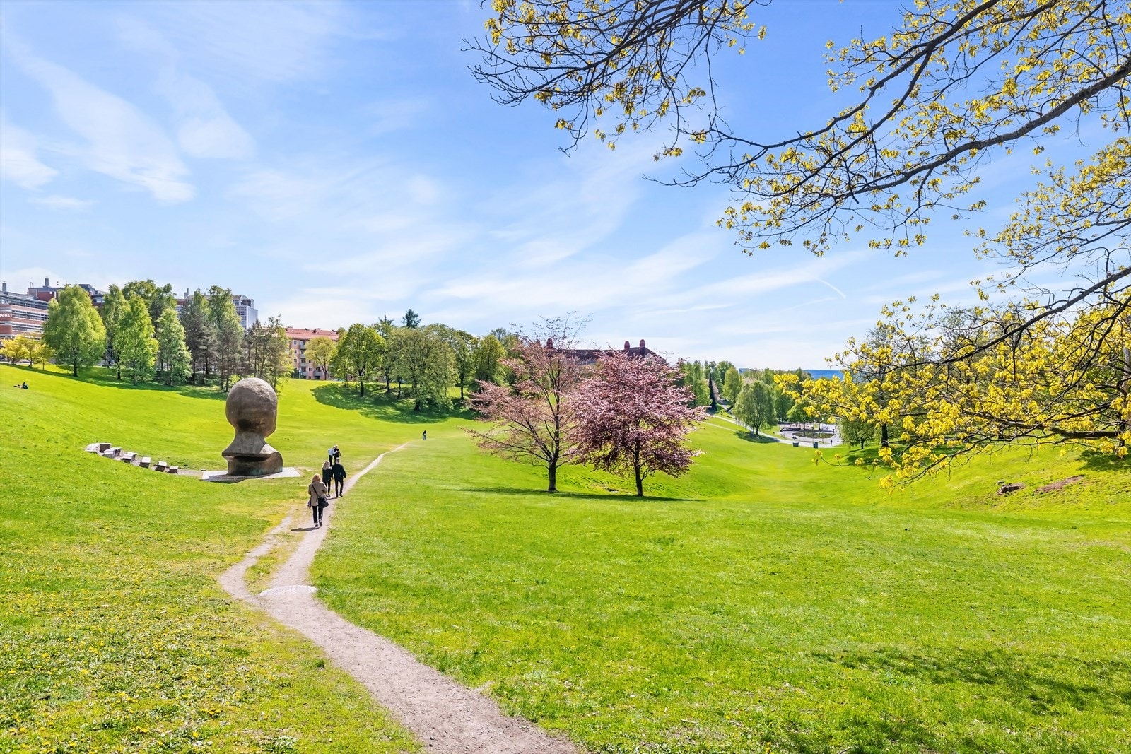 Områdebilde. Galleribilde