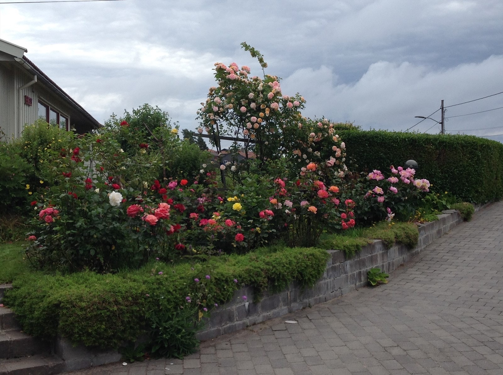 En velholdt hage som blomstrer vakkert gjennom sesongen. (Selgers private bilder) Galleribilde