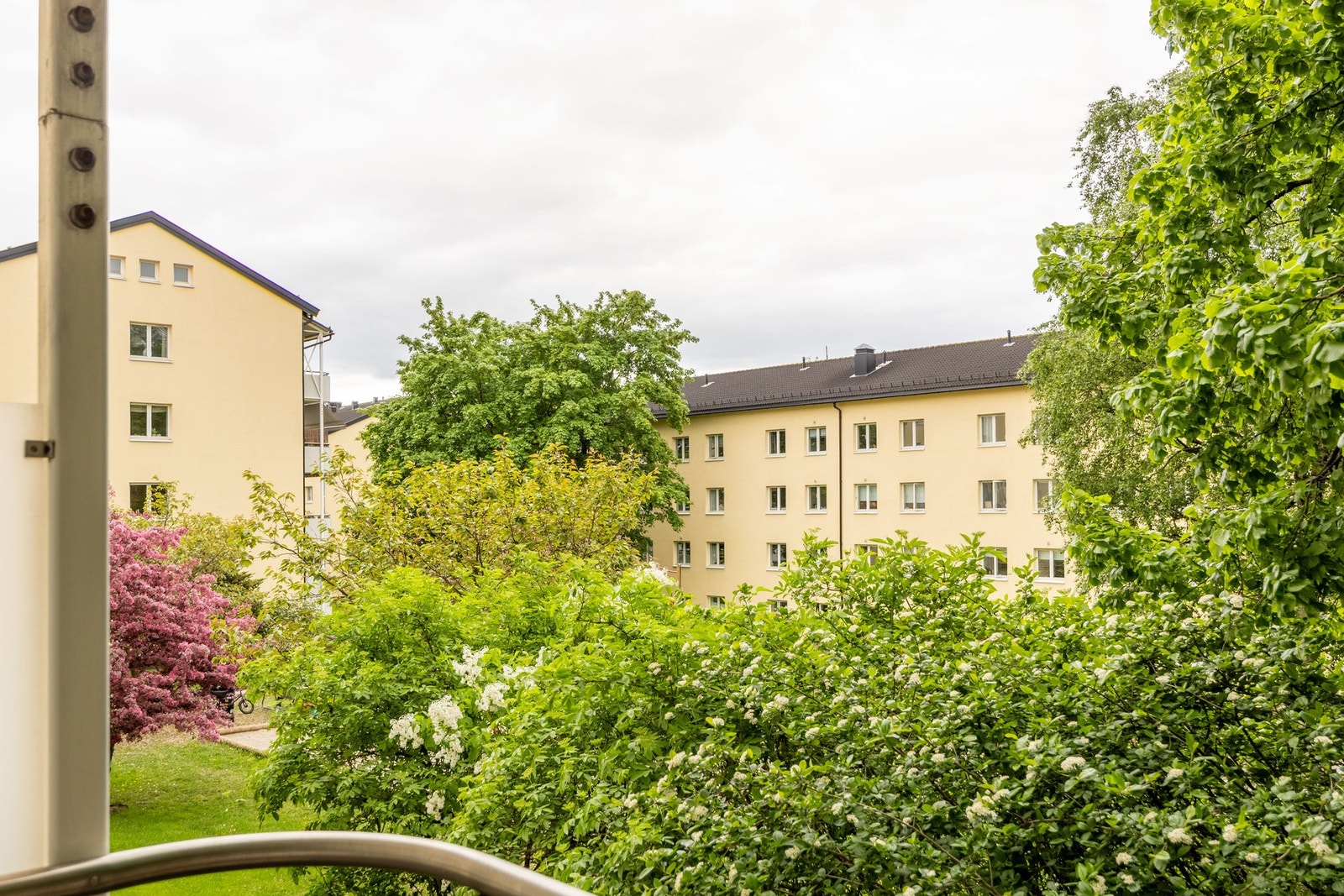 Herfra er det grønn og frodig utsikt over fellesområdene. Galleribilde