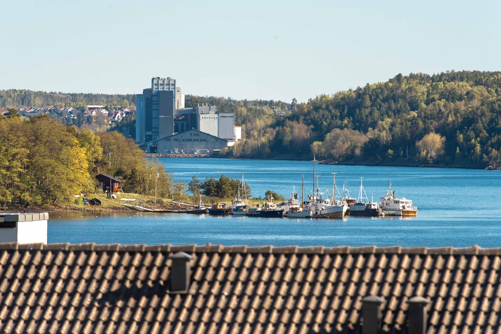 Zoomet utsikt Galleribilde