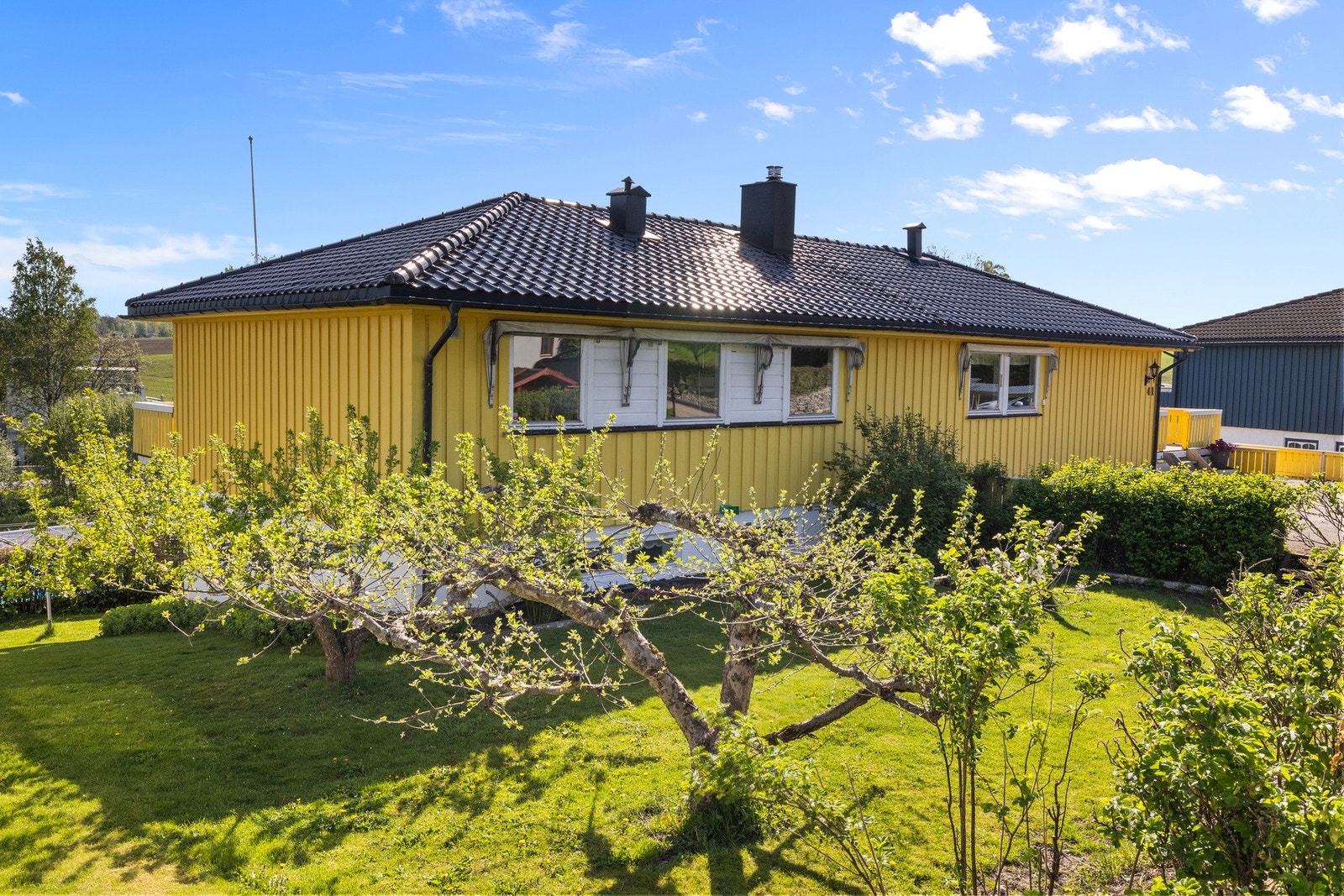 Grønt og hyggelig uteområde med diverse busker og hekk. Galleribilde