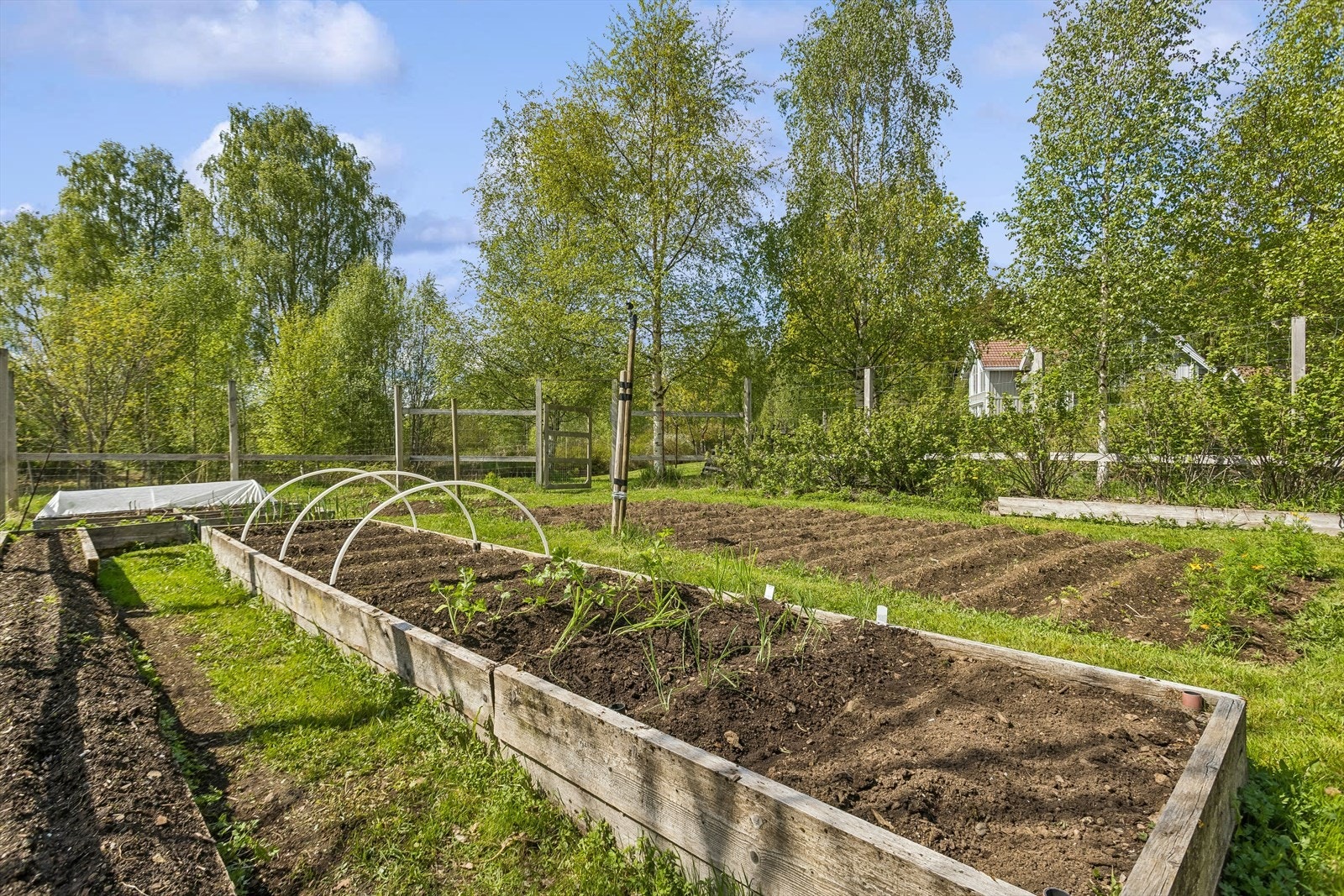 Den store tomten er parkmessig opparbeidet med plen, beplantning og dyrkingskasser. Galleribilde