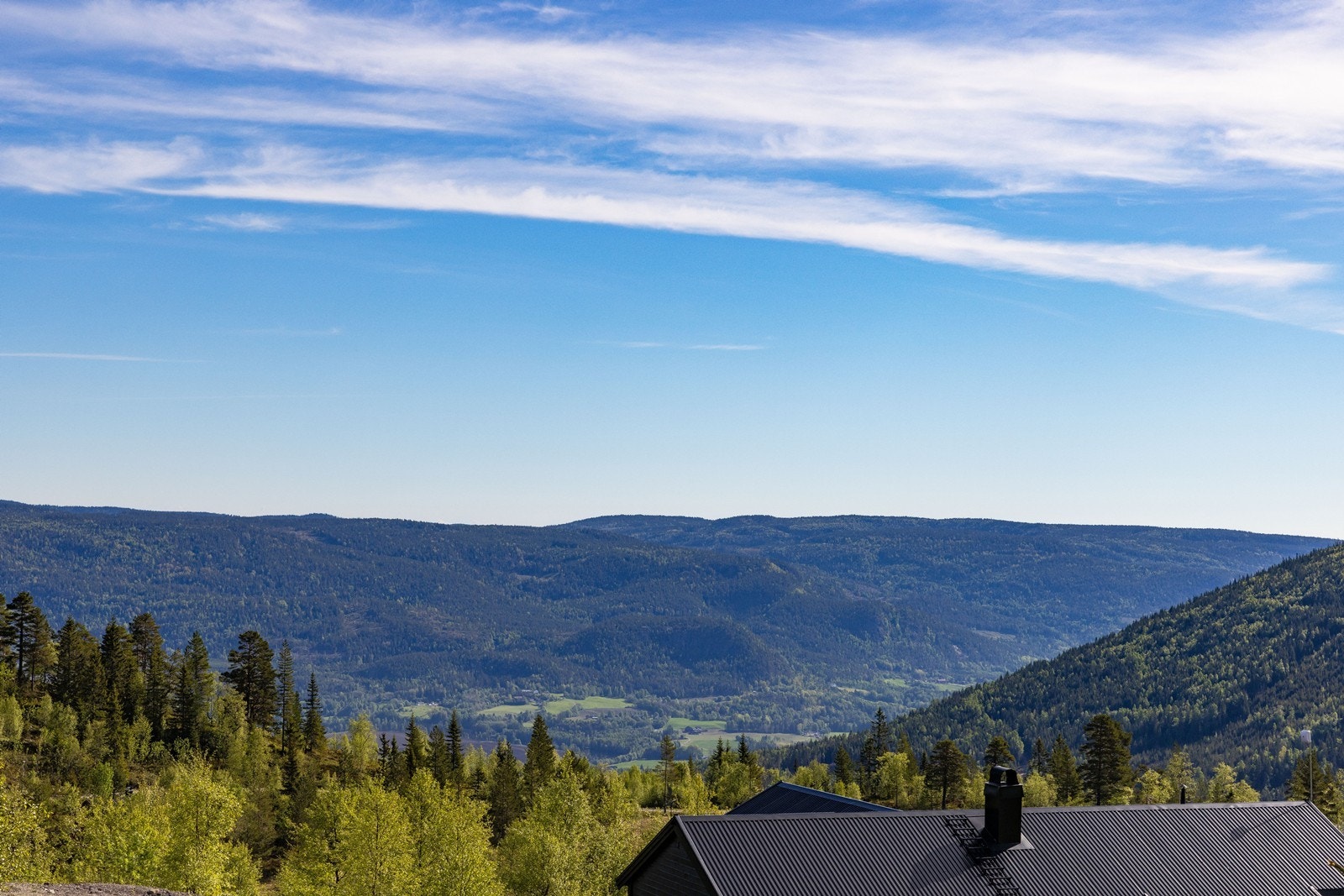 Fra eiendommen er det utsikt over skogkledde åser. Galleribilde