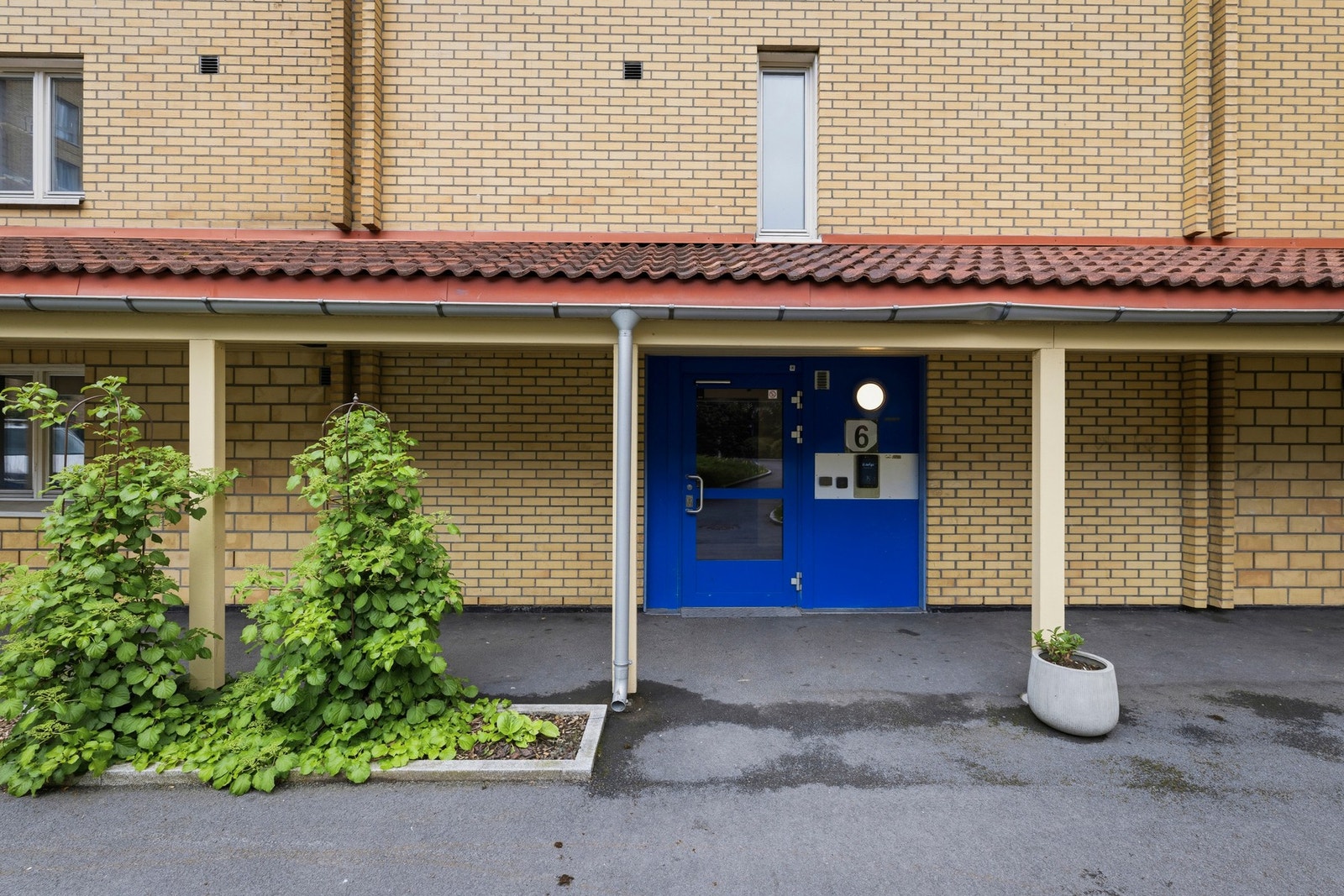Fasade. Galleribilde