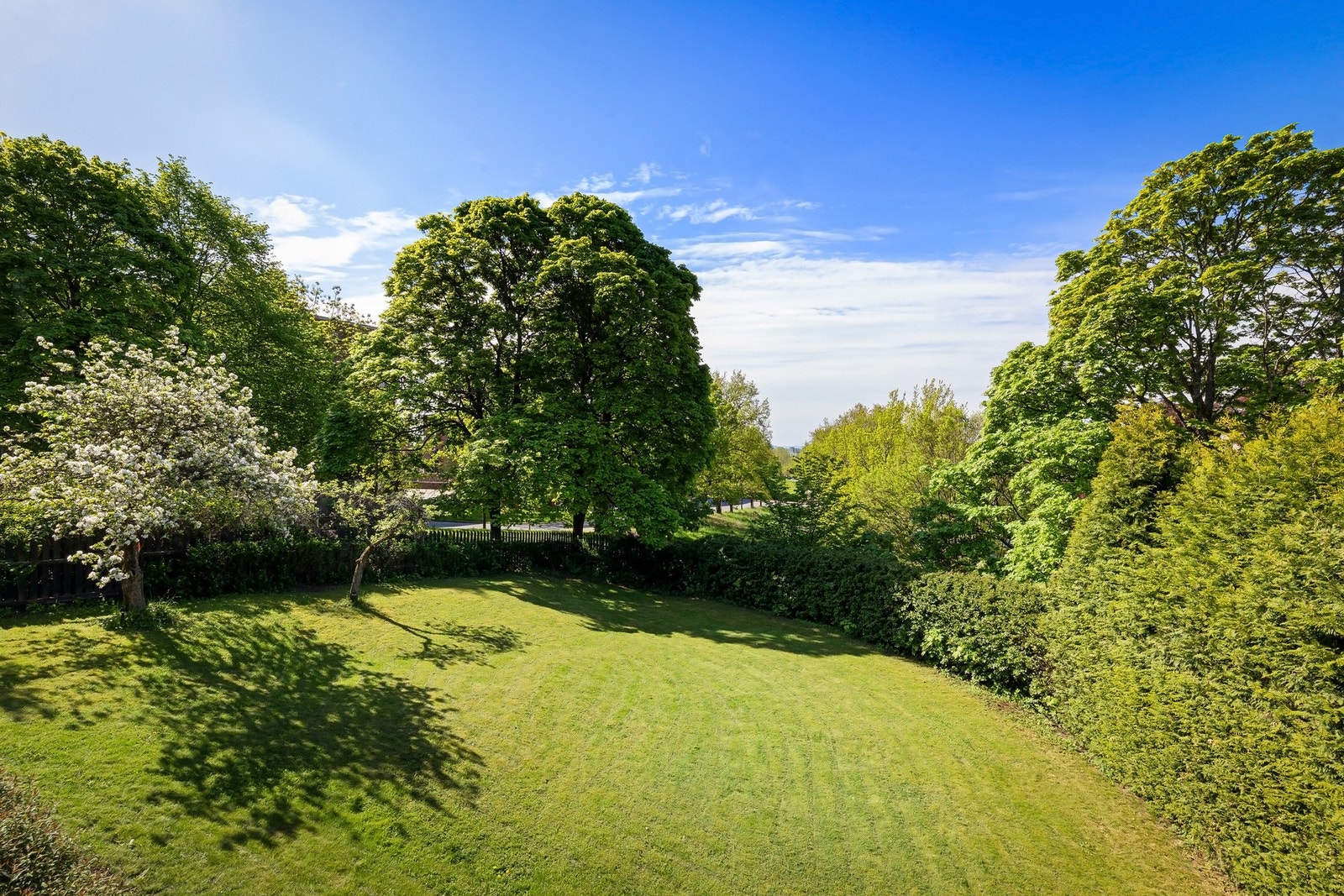 Pent opparbeidet hage, med store grøntarealer og diverse beplantning. Galleribilde