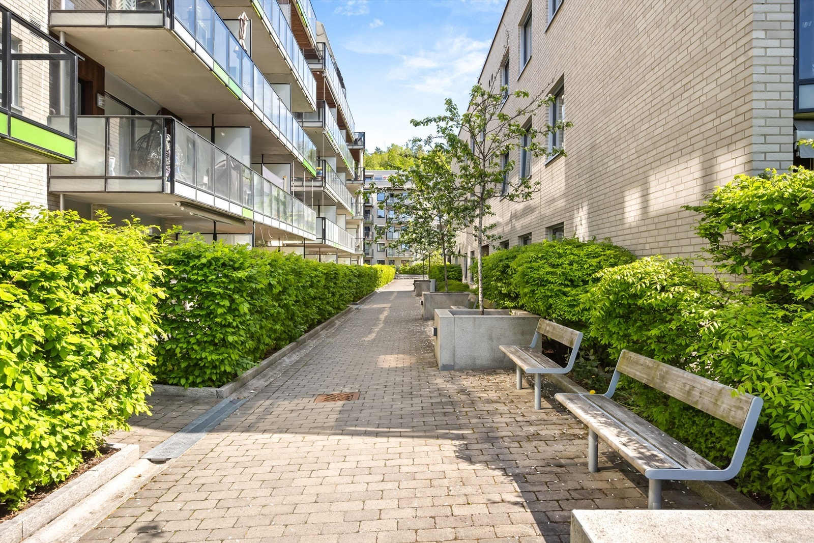 Adkomst via sameiets velholdte fellesarealer. Galleribilde