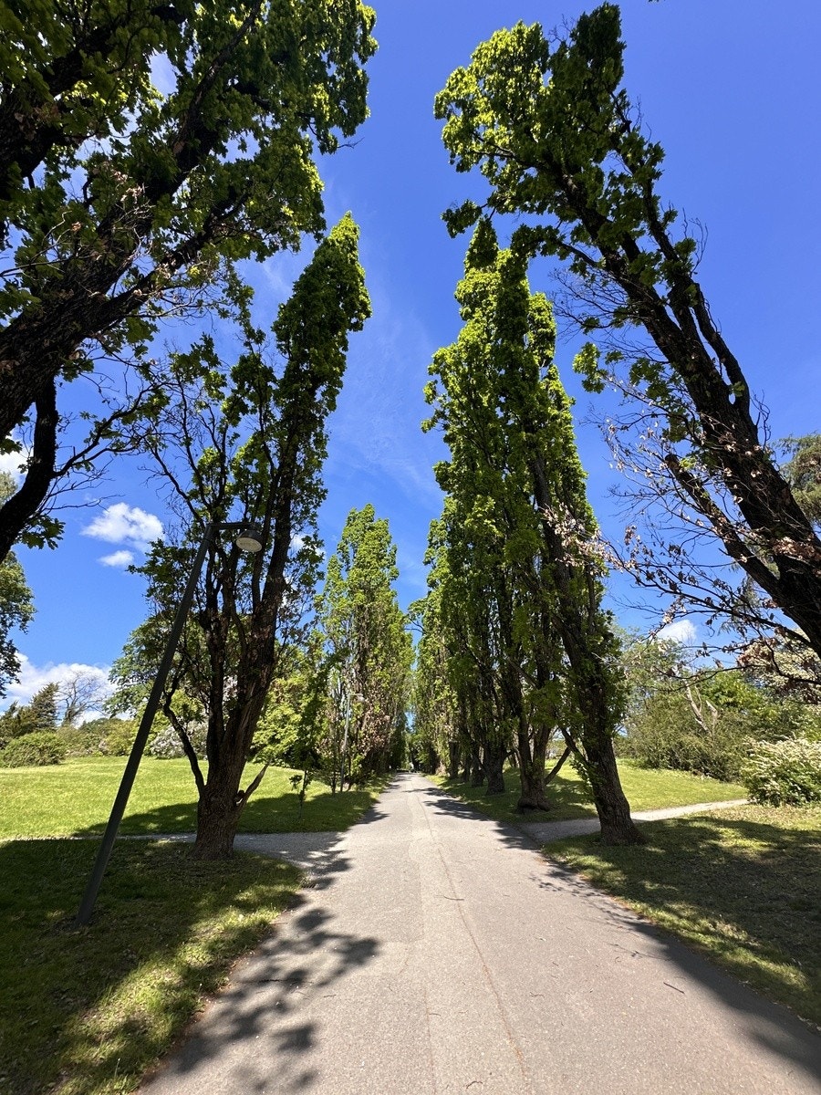 Botanisk hage rett ved eiendommen Galleribilde