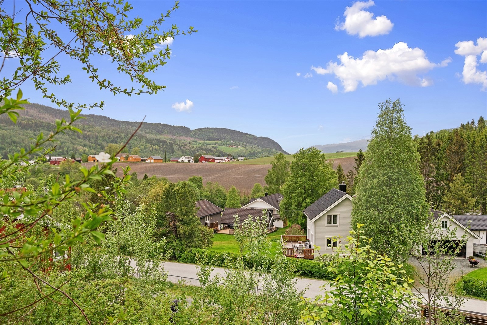 Utsikt Galleribilde