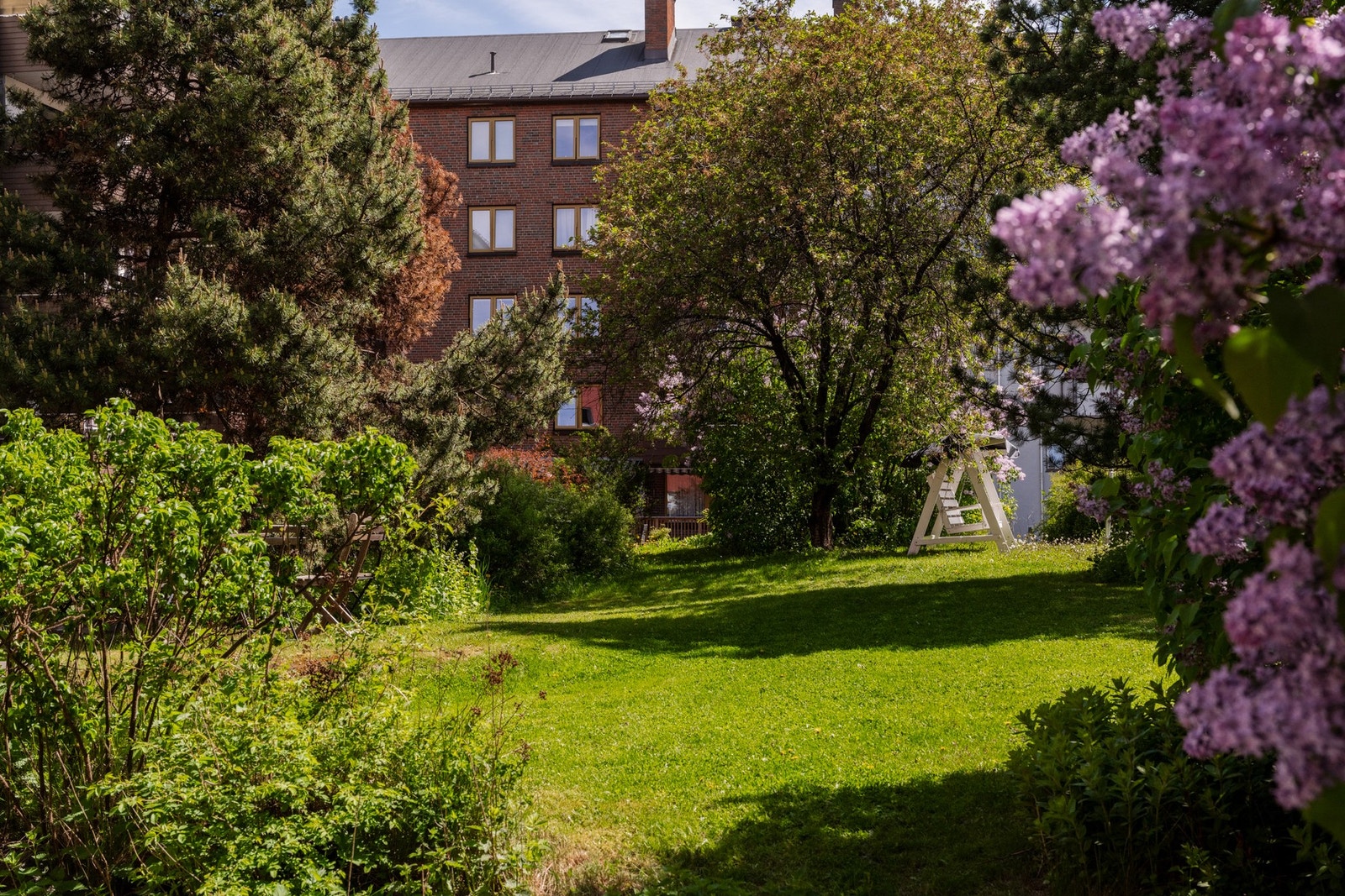 Flott og frodig bakgård. Galleribilde