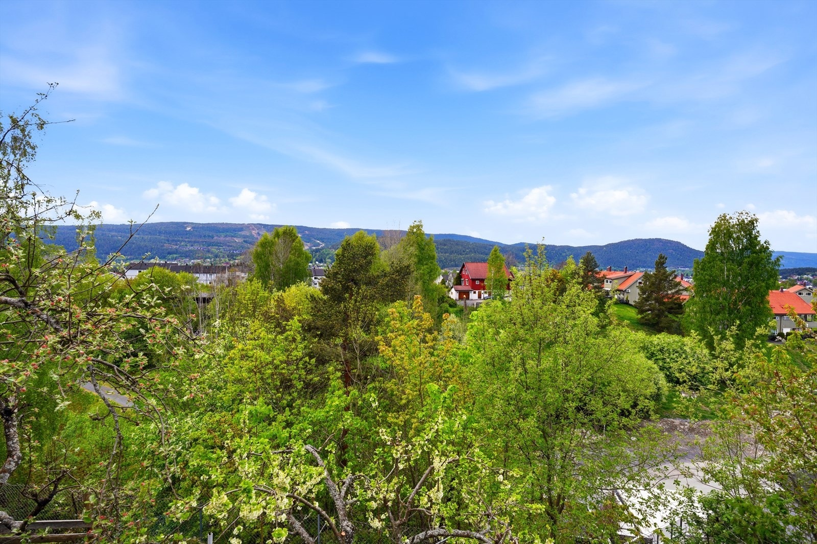 Utsikten fra terrassen i hovedplanet. Usjenert og frodig. Galleribilde