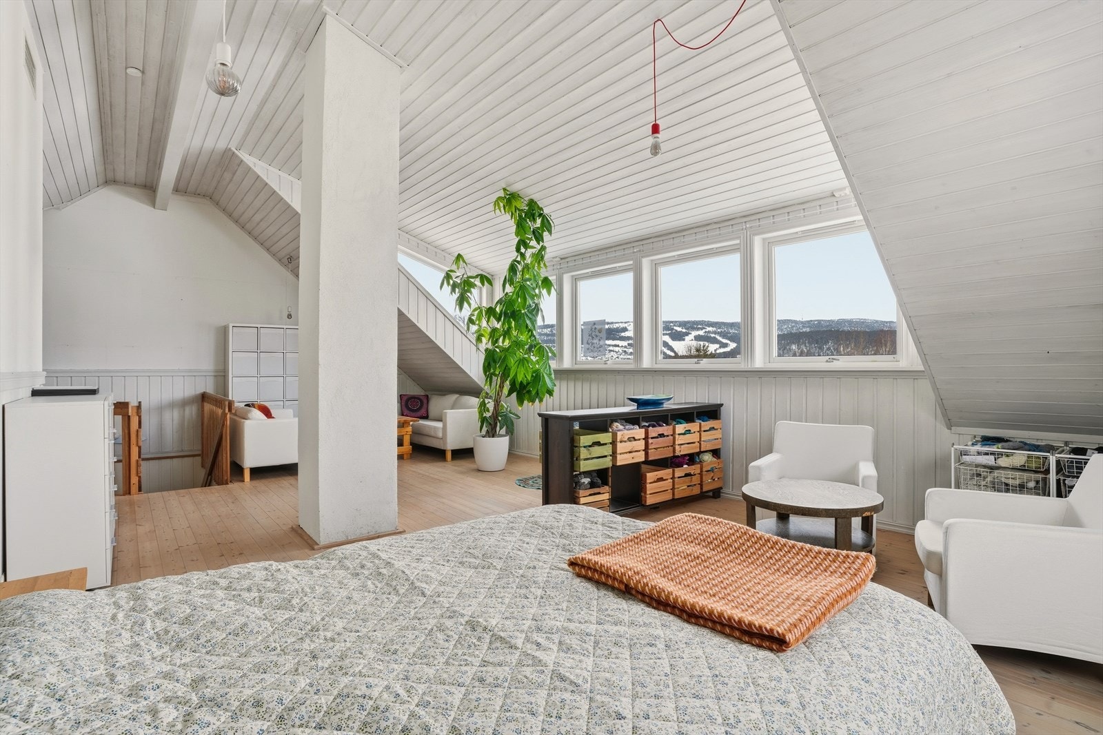 Masse boltreplass og bruksmuligheter. Galleribilde