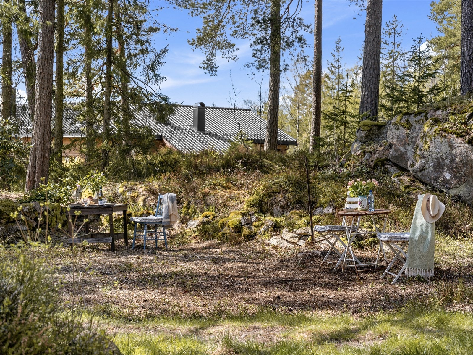 Tomten gir en følelse av å være helt for seg selv, omgitt av furutrær. Galleribilde