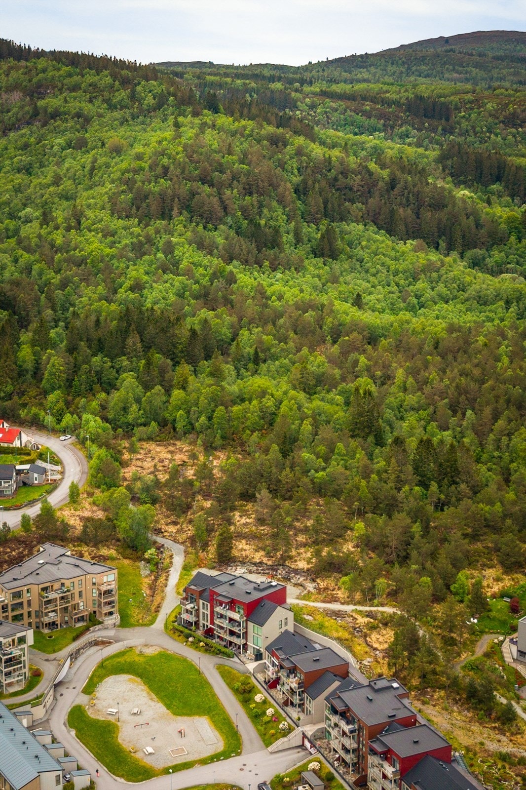 Den turglade vil sette stor pris på området rundt Lonshaugen sameie. Her bor man med naturen som nærmeste nabo. Galleribilde