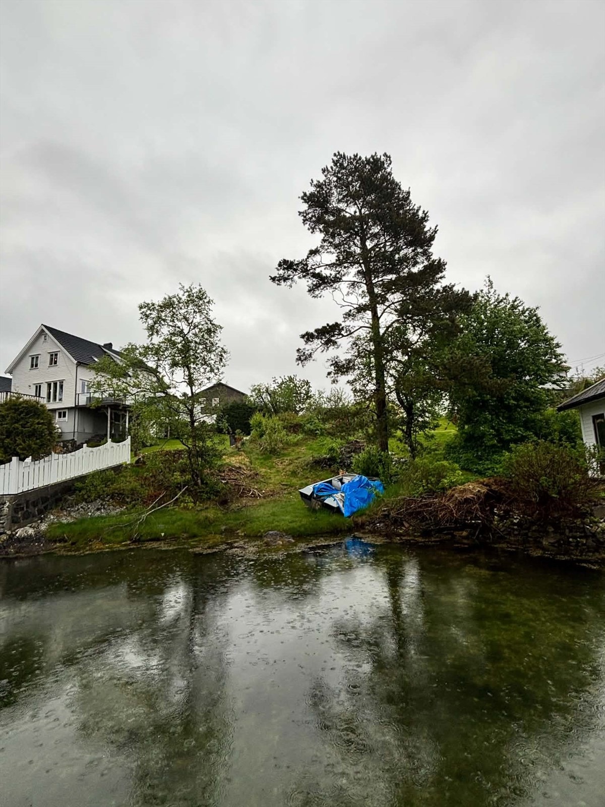 Strandline mot Kanalen Galleribilde