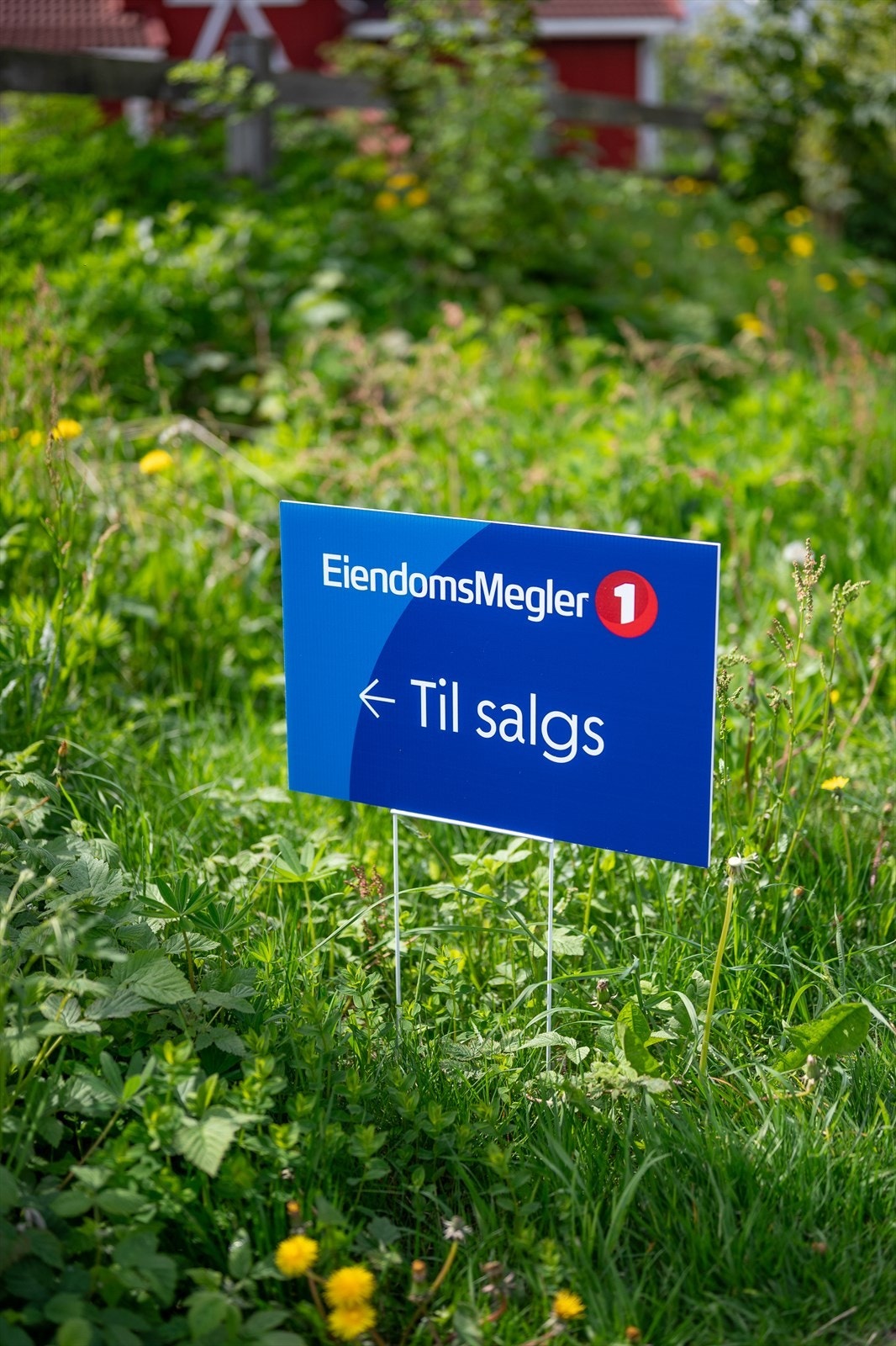 Velkommen til visning! Galleribilde