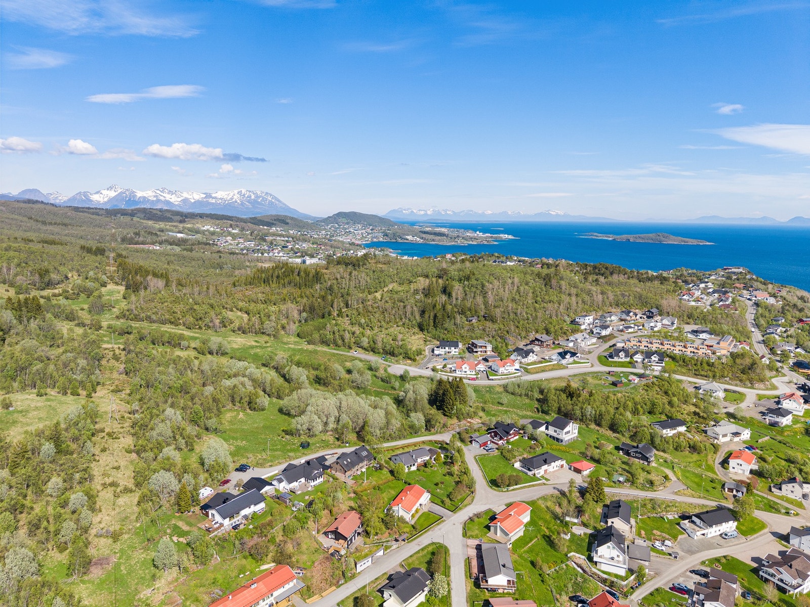 Velkommen til en trivelig visning! Galleribilde