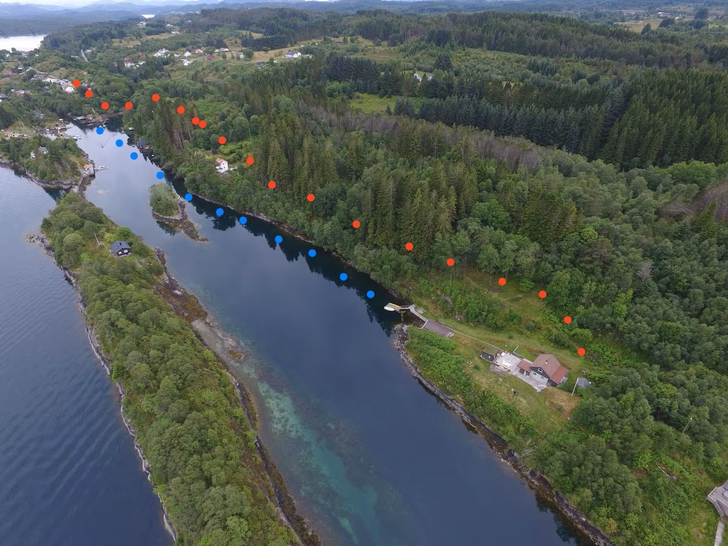 Her er et kart over adkomsten til hytten de røde sirklene viser gangvegen fra parkeringsplass og frem til eiendommen, samt de blå prikkene viser sjøveien fra brygge til brygge. Galleribilde