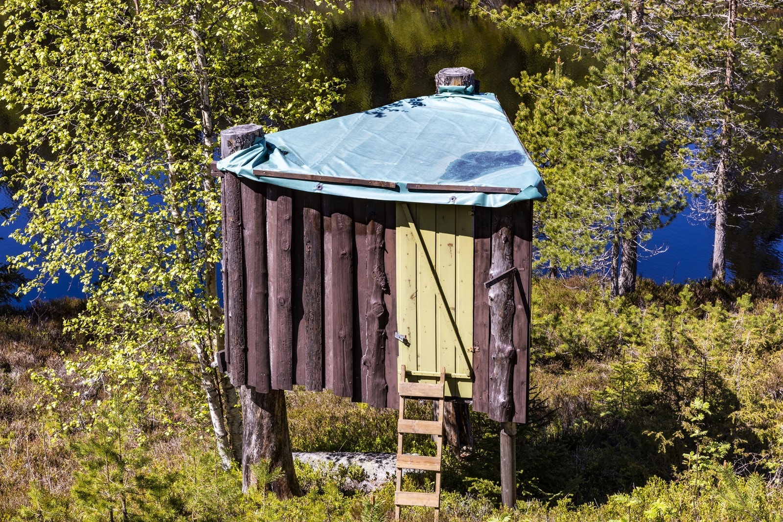På eiendommen finnes også en "tretopphytte". Galleribilde