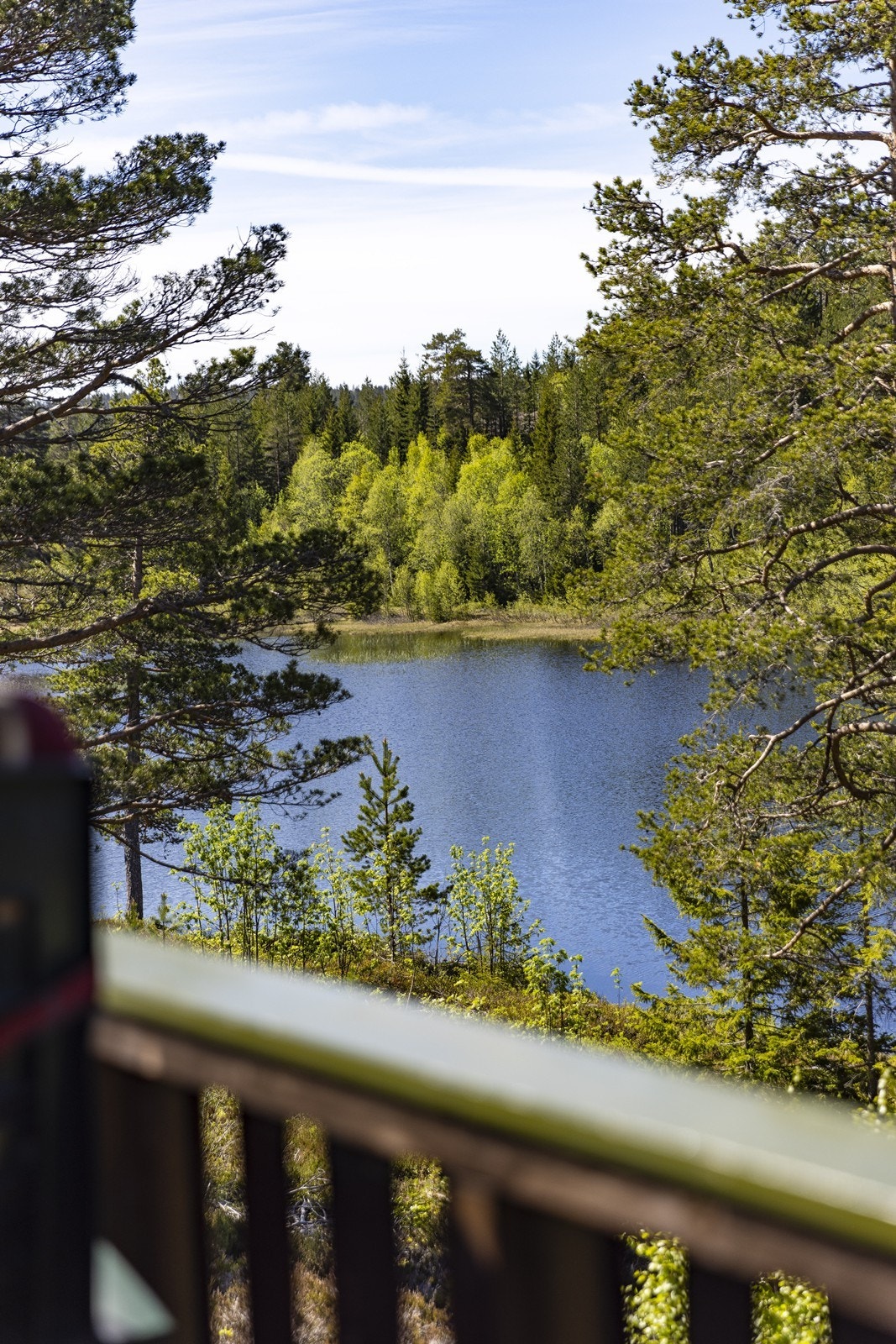 Nærheten til vannet gir gode muligheter for rekreasjon og naturopplevelser. Galleribilde