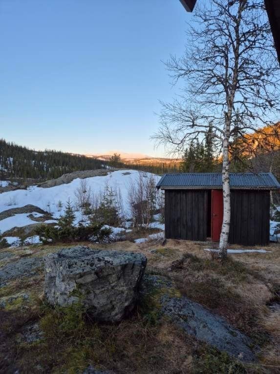 Velkommen til visning! Galleribilde