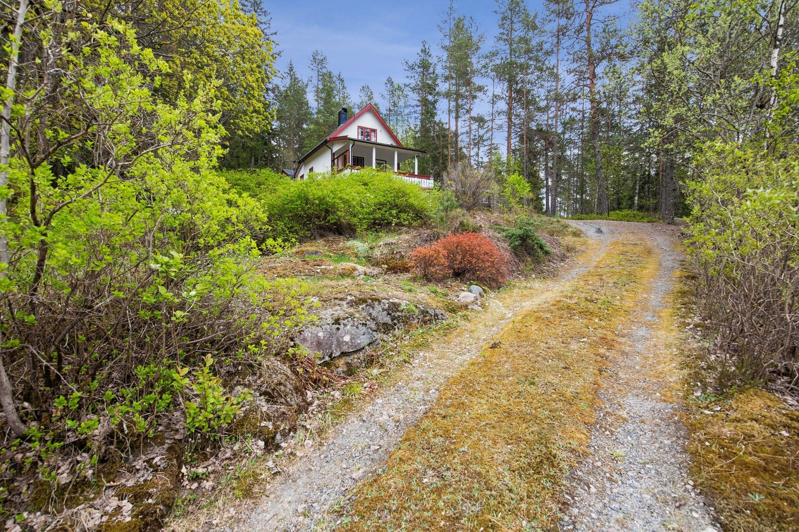 Veien opp til hytta Galleribilde