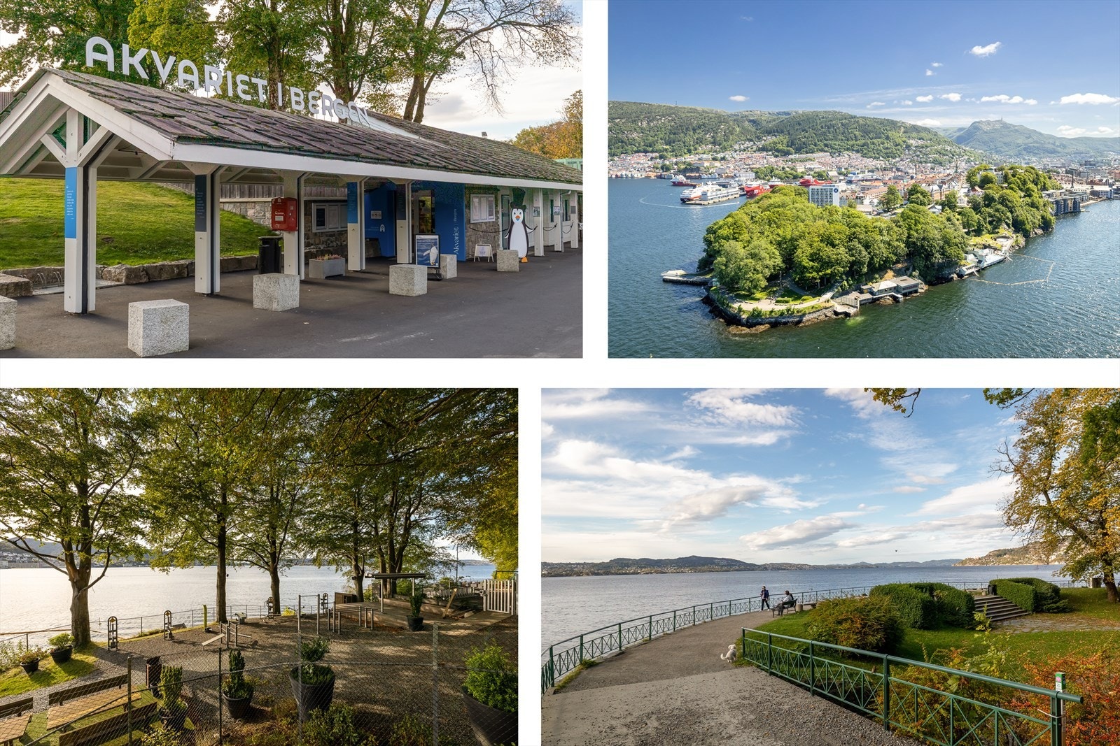 Nærområdet. Galleribilde