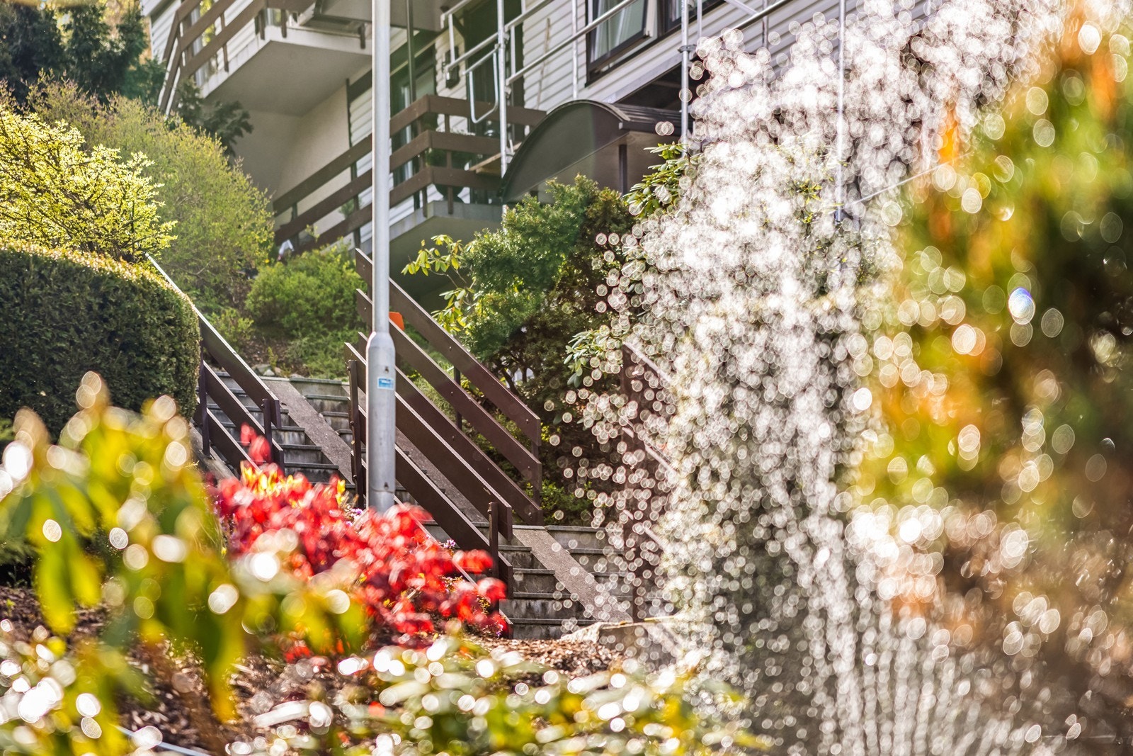 Fellesområdene er pent opparbeidet med beplantning. Galleribilde