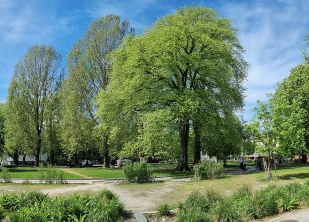 Utsikt mot Olaf Ryes park Galleribilde