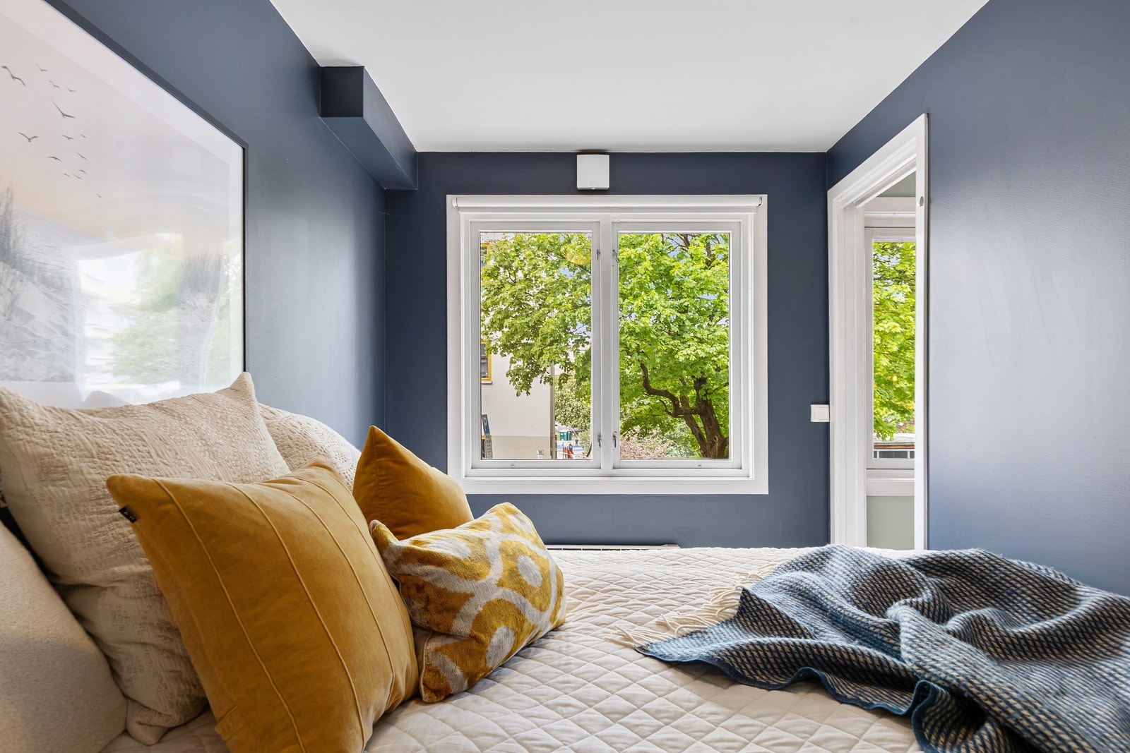 Vinduet vender ut mot rolige omgivelser og slipper inn godt med dagslys. Galleribilde