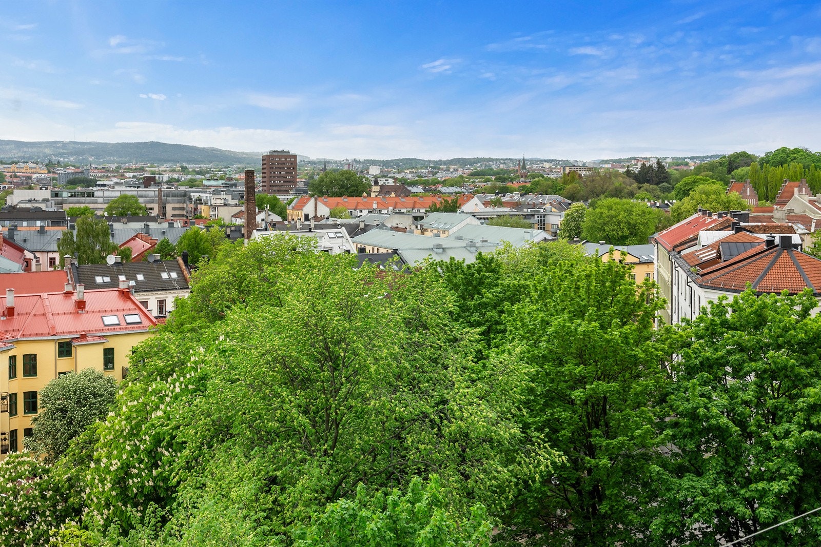 Botanisk hage og Tøyenparken ligger kun et par minutters gange fra leiligheten Galleribilde