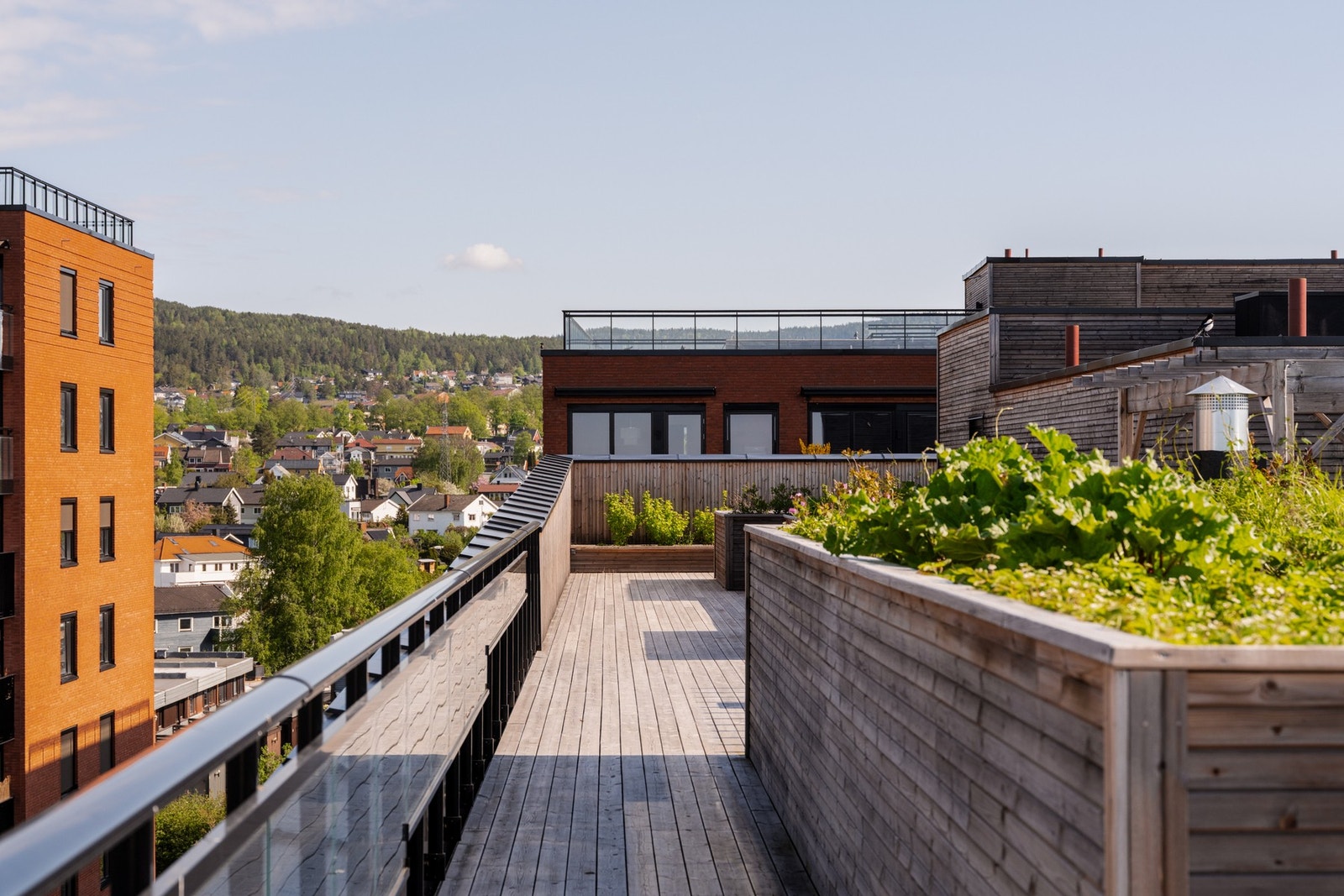 Flott takterrasse med sittegrupper og beplantning. Galleribilde