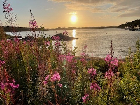 Vakre solnedganger. Galleribilde
