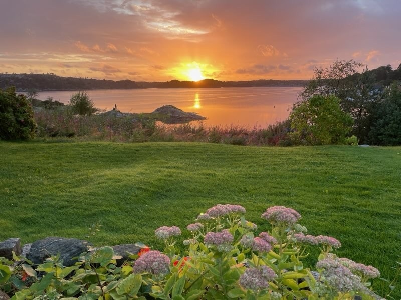 Solnedgang Galleribilde