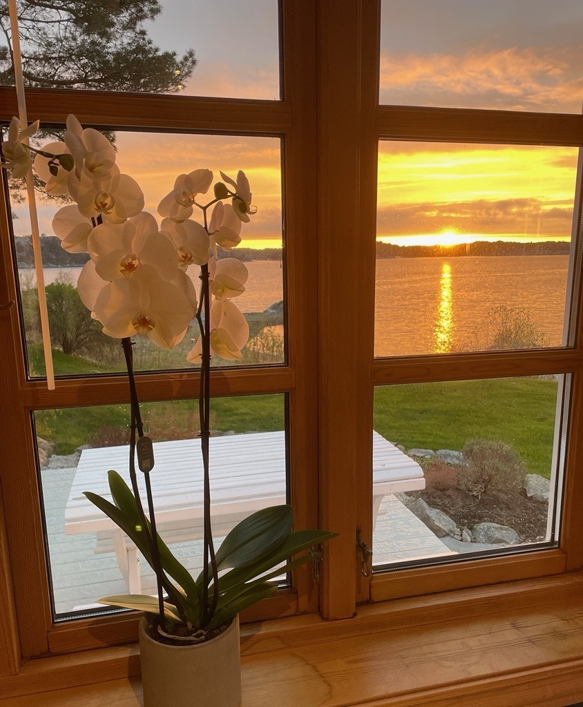 Solnedgang Galleribilde