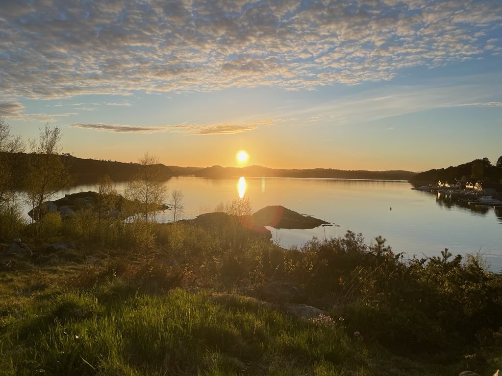 Solnedgang. Galleribilde