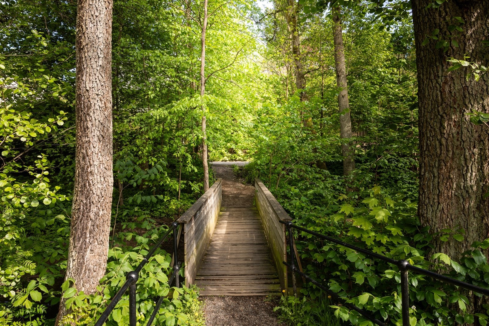 Her får du umiddelbar nærhet til frodig og skjermet natur. Galleribilde