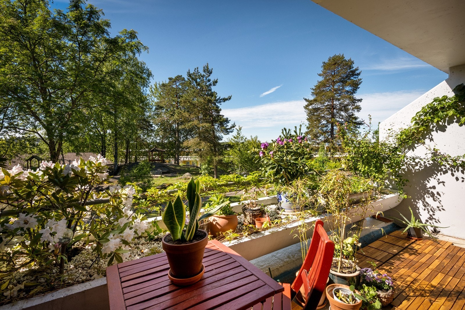 Grønne og frodige omgivelser bidrar til hyggelig atmosfære. Galleribilde
